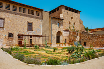 kitchen garden in the Monastery of Pedralbes