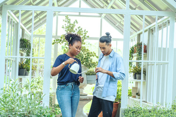 bearded Thai husband and his African American wife help plant trees and water the nursery in the backyard.