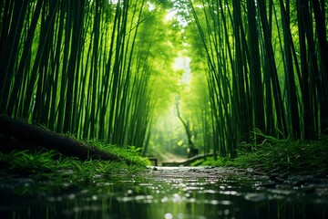 Mezmerizing Bamboo Forest, Generative AI