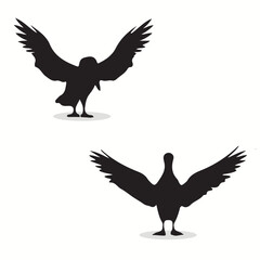 Albatross silhouettes and icons. Black flat color simple elegant Albatross animal vector and illustration.