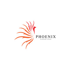phoenix head logo icon vector template