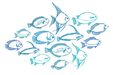 Fish sketch hand drawn set