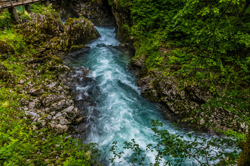 A view over the Radovna River at the start of the Vintgar Gorge in Slovenia in summertime
