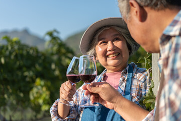 Happy old elderly couple with a glass of red wine celebrate the good harvest of grapes.  Old couple...
