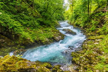 Obraz premium A view from the shore of Lake Bled looking up at the castle in Bled, Slovenia in summertime
