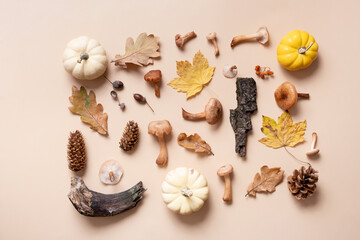 Fototapeta na wymiar Pumpkin, mushrooms and autumn leaves on beige background. Autumn flat lay composition background.
