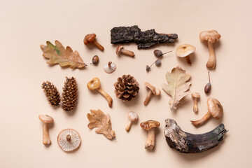 Autumn monochrome beige background with mushrooms and cones, autumn leaves flat lay, top view.