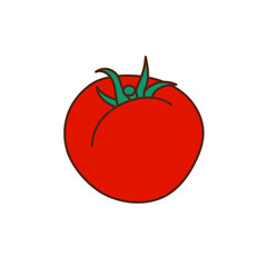 Hand-drawn tomato on a transparent background. Isolated vector illustration of juicy fruit