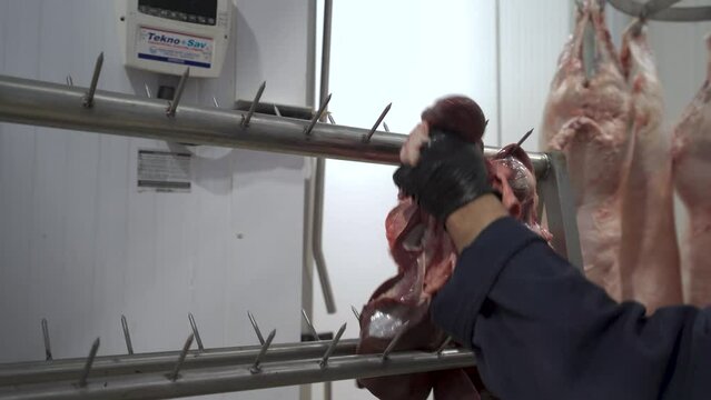 Sheep bodies hung on hooks in a slaughterhouse 4K