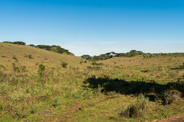Fototapeta na wymiar Hilly landscape at Parque da Ronda in Sao Francisco de Paula, South of Brazil