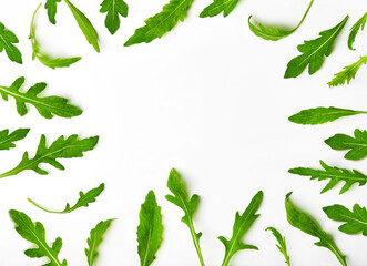 Rucola or arugula in round circle frame on a white background. Fresh healthy greenery. Top view or flat lay, selective focus. Copy space to insert text or design