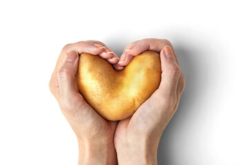 Heart-shaped potato in a woman's hands above white background. Harvesting concept. Top shot,...