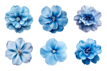 Selection of various blue flowers isolated on transparent background
