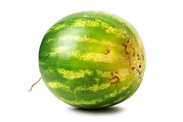 A whole striped watermelon with a ponytail. Isolate on white background
