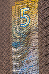 Five euro banknote. Euro money macro close-up. A separate token for European Union euro cash with a face value of five euros. Savings for the concept of financial freedom. Soft selective focus