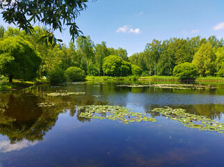 Summer landscape of nature with clear water and reflection of green trees and blue sky. Beautiful lake in forest park. View of pond shore with trees, aquatic plants, green grass and white water lilies