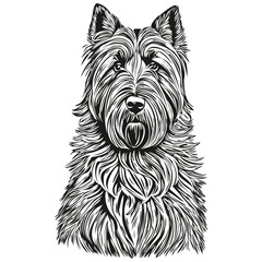 Briard dog black drawing vector, isolated face painting sketch line illustration