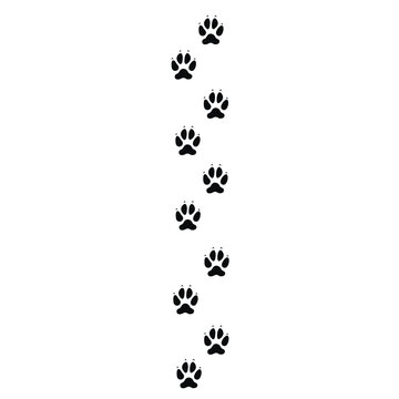 Dog or wolf footprint line. Vector illustration isolated on white background.