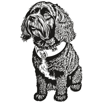 Portuguese Water dog pencil hand drawing vector, outline illustration pet face logo black and white