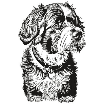 Portuguese Water dog black drawing vector, isolated face painting sketch line illustration