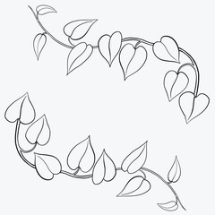 Floral ivy drawing decorative ornament flat design.