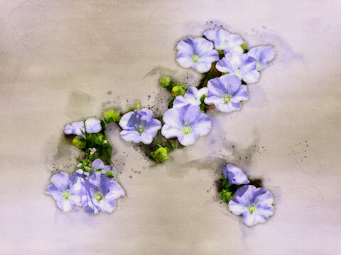 Watercolor effect on a photo of light blue flax with green leaves and buds.
