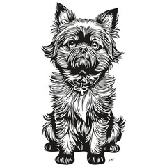Affenpinscher dog pet sketch illustration, black and white engraving vector sketch drawing