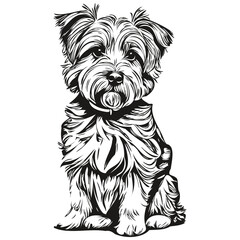 Dandie Dinmont Terriers dog logo vector black and white, vintage cute dog head engraved realistic breed pet