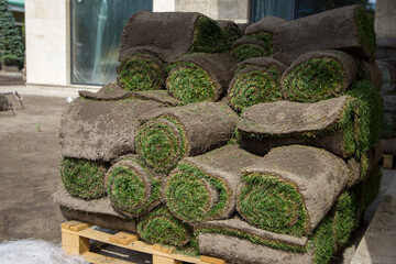 Fototapeta na wymiar rolls of grass on a pallet in the courtyard of a building