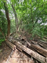 nature took over this place