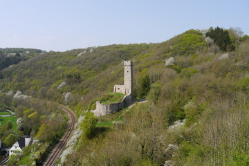 Fototapeta na wymiar Burg und Berge in Monreal in der Eifel