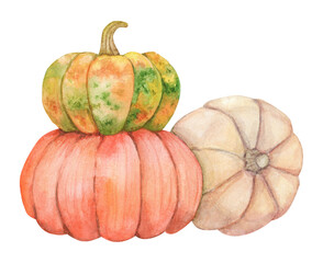 Watercolor hand drawn illustration with pumpkins. Drawing for autumn design