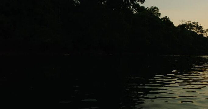 Sunset Serenity: Tranquil Moments on an Amazon River in the Heart of the Rainforest