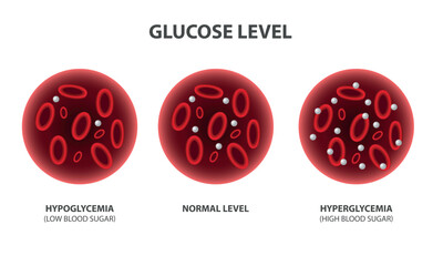 Blood glucose level, vector illustration - obrazy, fototapety, plakaty