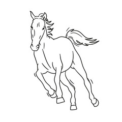 Illustration Line Art Tier Pferd
