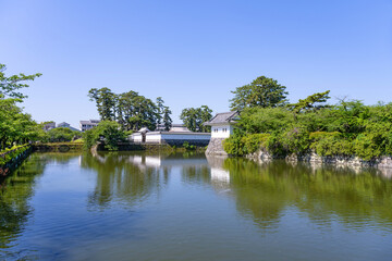 Fototapeta premium 神奈川県小田原市 小田原城