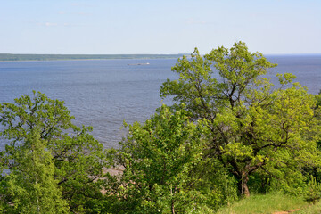 oak tree growing on the edge of the hill with the view to the river copy space  
