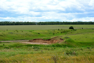 Obraz premium green valley with road forest and cloudy sky on background copy space 