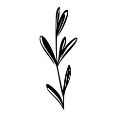 Minimalist branch with leaves icon