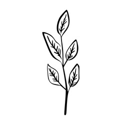 Minimalist branch with leaves icon