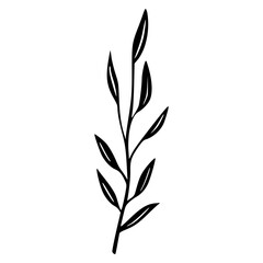 Fototapeta na wymiar Minimalist branch with leaves icon