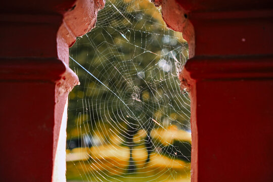 Close up of spiderwebs inbetween red wooden posts, cobwebs at Kearsney Abbey Gardens