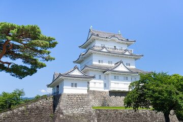 Naklejka premium 神奈川県小田原市 小田原城