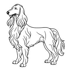 Afghan Hound, hand drawn cartoon character, dog icon.