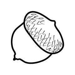 acorn nut fall autumn line art