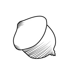 acorn nut fall autumn line art