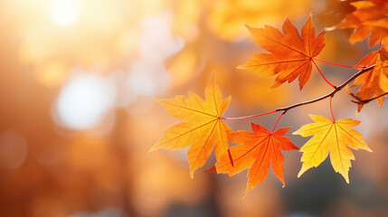 Autumn leaves background. AI