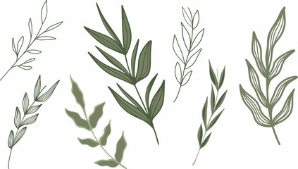 Obraz premium Boho Botanical Plant Illustrations