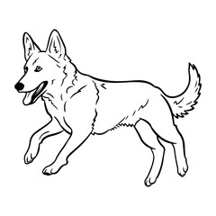 Fototapeta premium Belgian shepherd, hand drawn cartoon character, dog icon.
