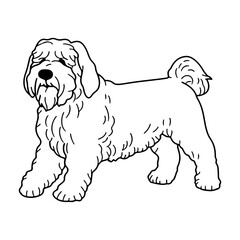 Black Russian Terrier, hand drawn cartoon character, dog icon.